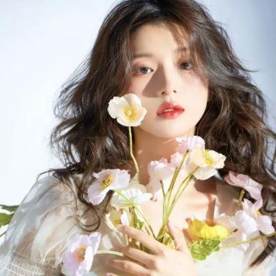 灰鸽子之歌海报