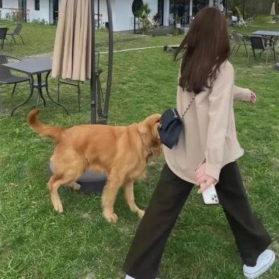 三楼的陌生人海报